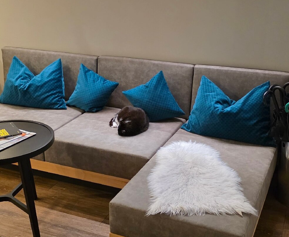 Boutiquehotel Zur Winzerstube主图