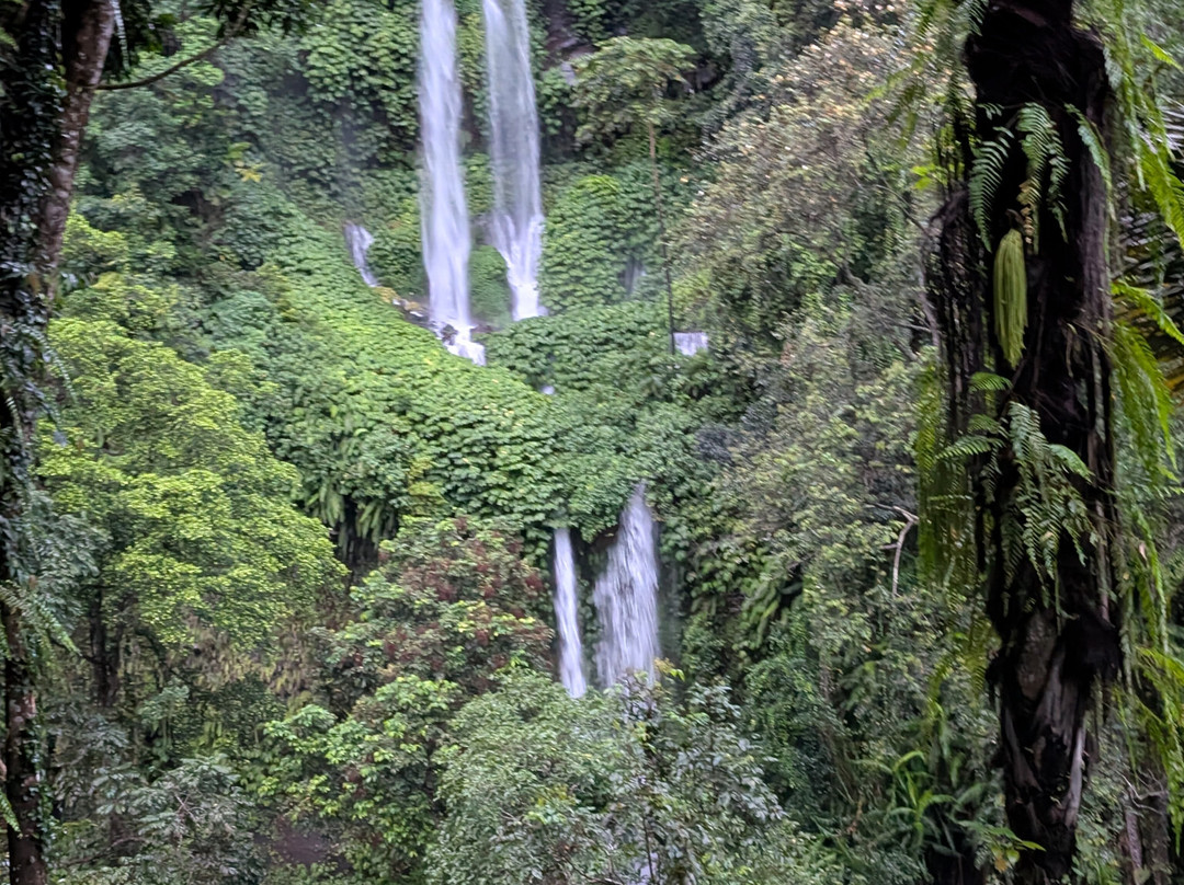 Adi Trekker景点图片