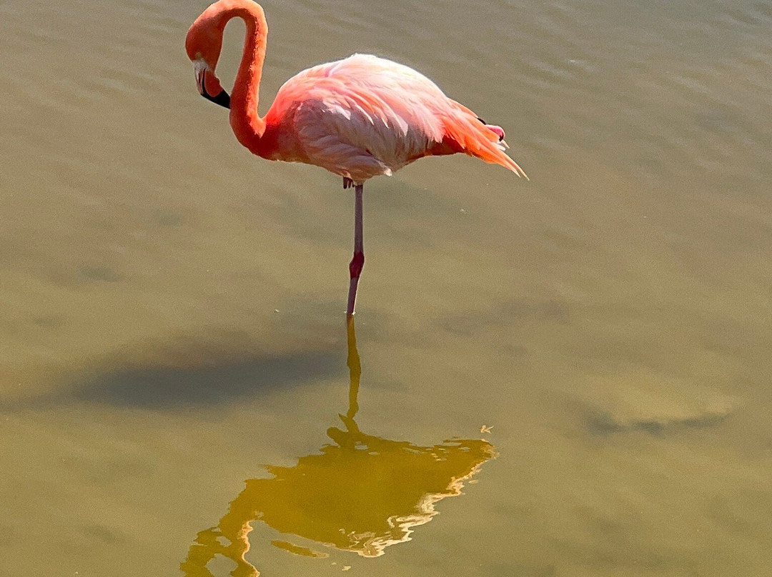 Fragata Yacht-Baltra必去景点