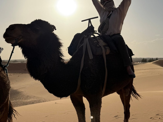 Perfect Trip Morocco-阿加迪尔必去景点