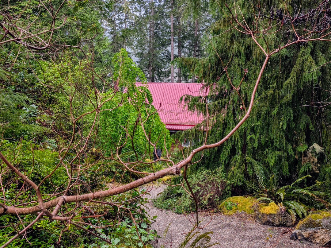 SloCat Harbour Tours-马德拉公园镇必去景点
