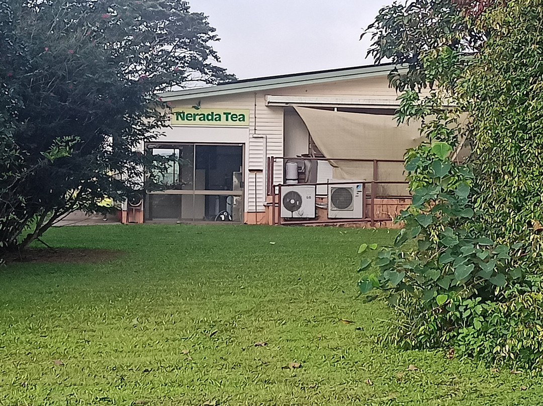 Nerada Tea Plantation-马兰达必去景点