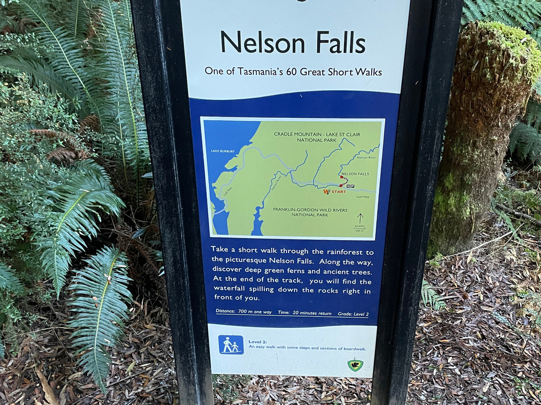 Nelson Falls-皇后镇必去景点