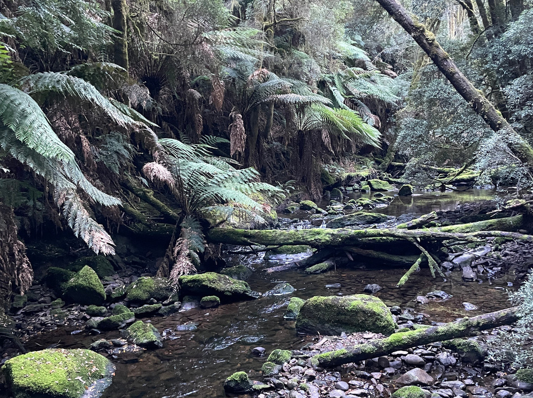 Nelson Falls-皇后镇必去景点