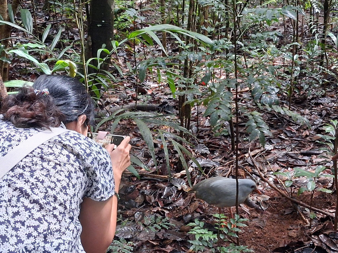 Fernando Tourisme-努美阿必去景点