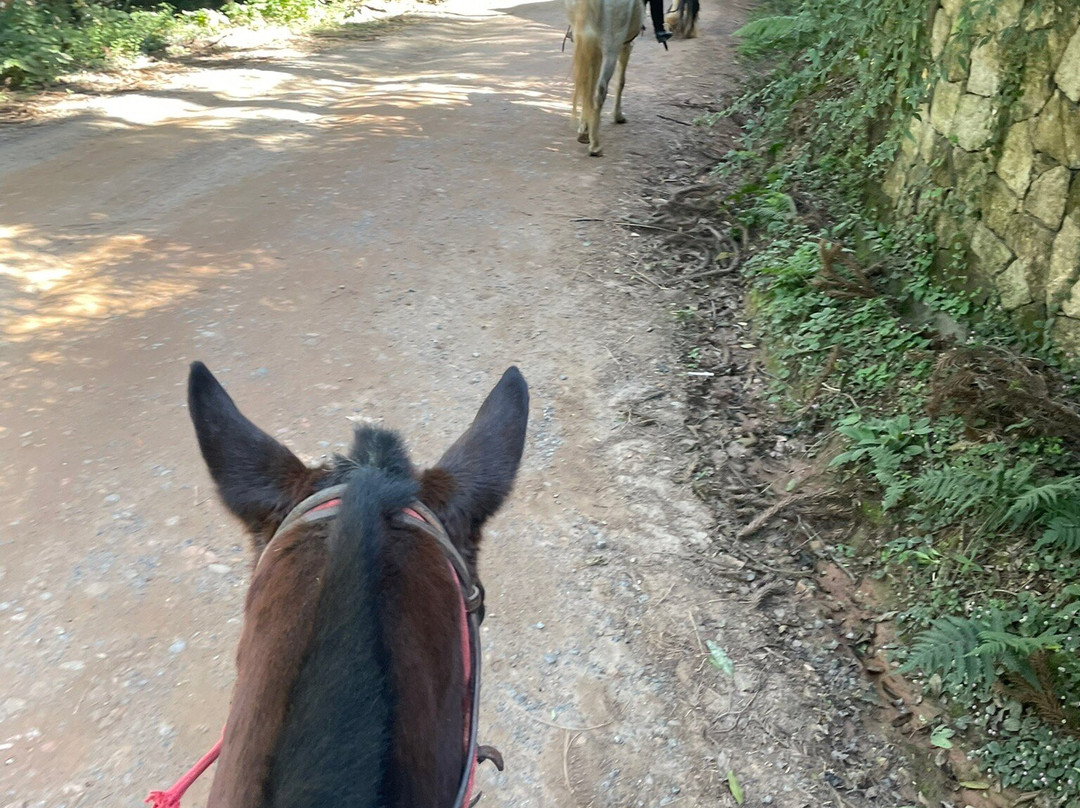 Haras Encanto Horse-蒙特贝尔德必去景点