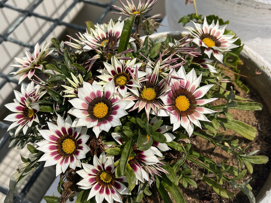 Dar El Jeld-突尼斯必去景点