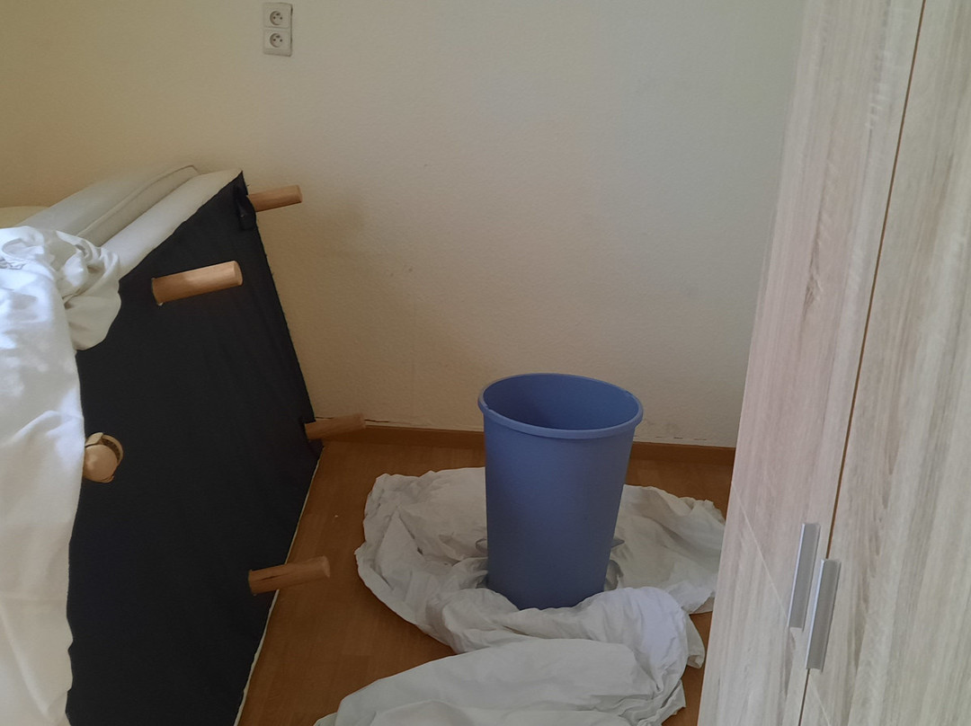 Les Merlettes & Le Merle Moqueur