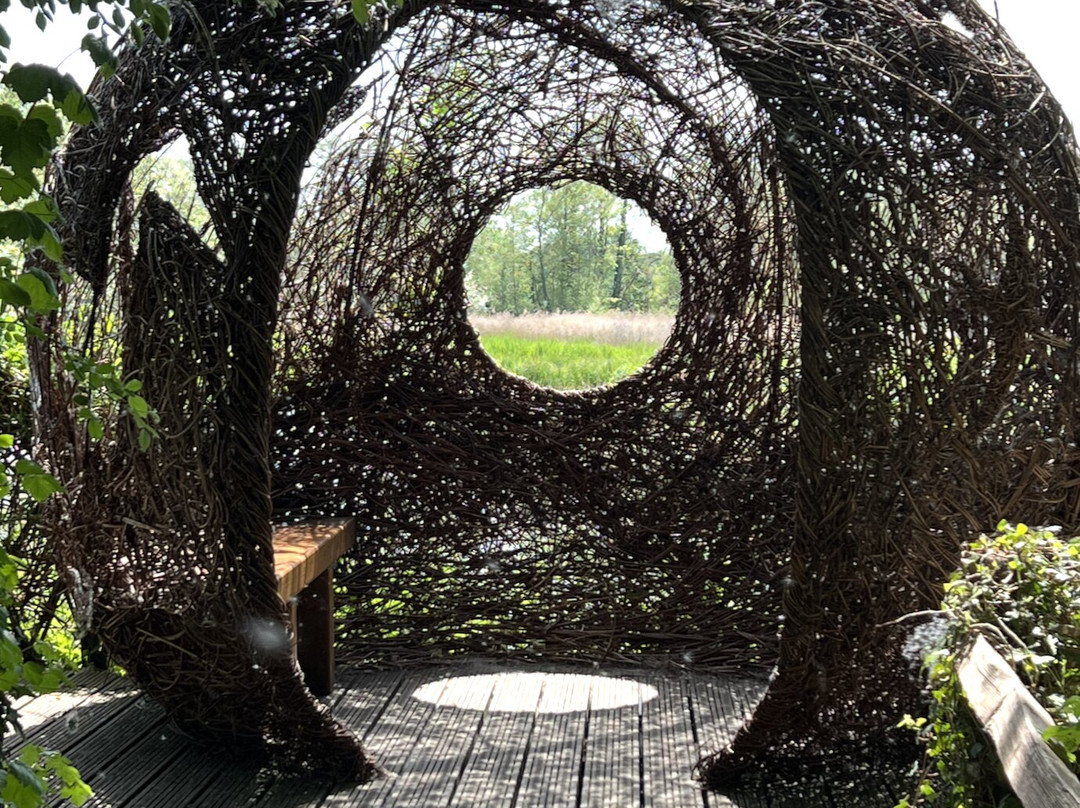 WWT Arundel Wetland Centre景点图片