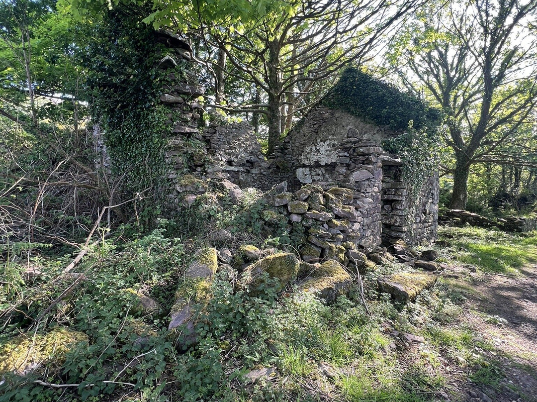 Wonderful Ireland Walking Tours-邓德拉姆必去景点