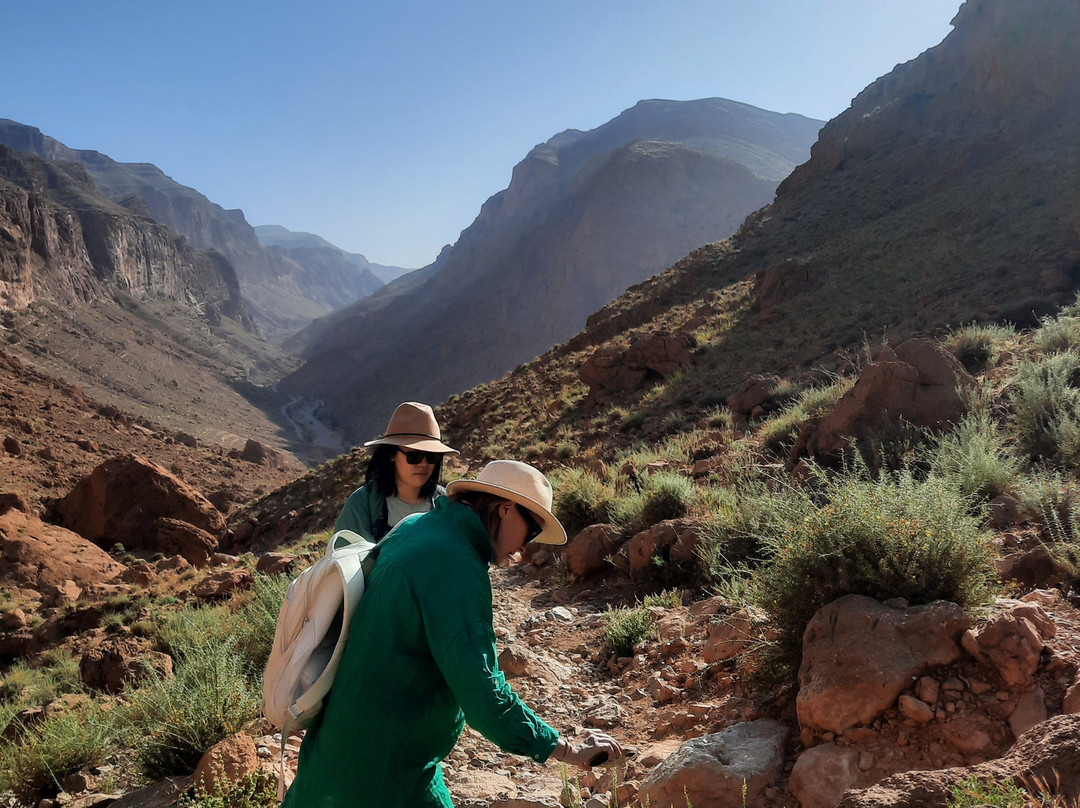 Discover Todra Gorge with Locals - Tourist Information & Experience Center-廷吉尔必去景点