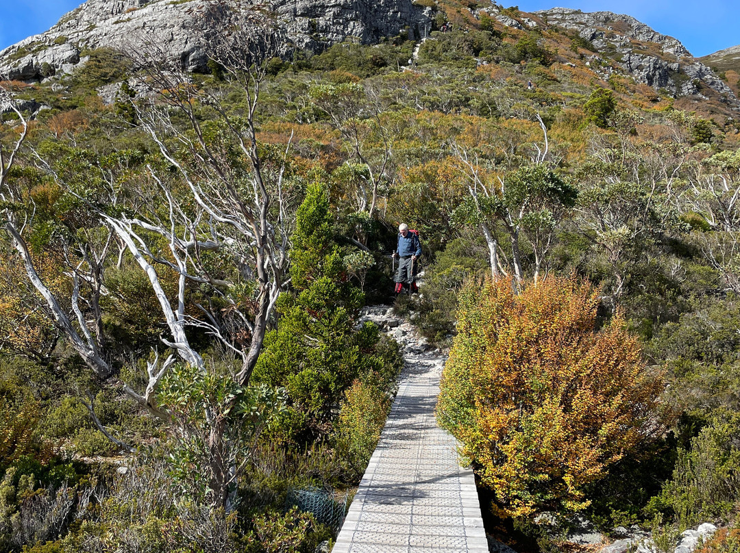 Marion's Lookout Walk景点图片