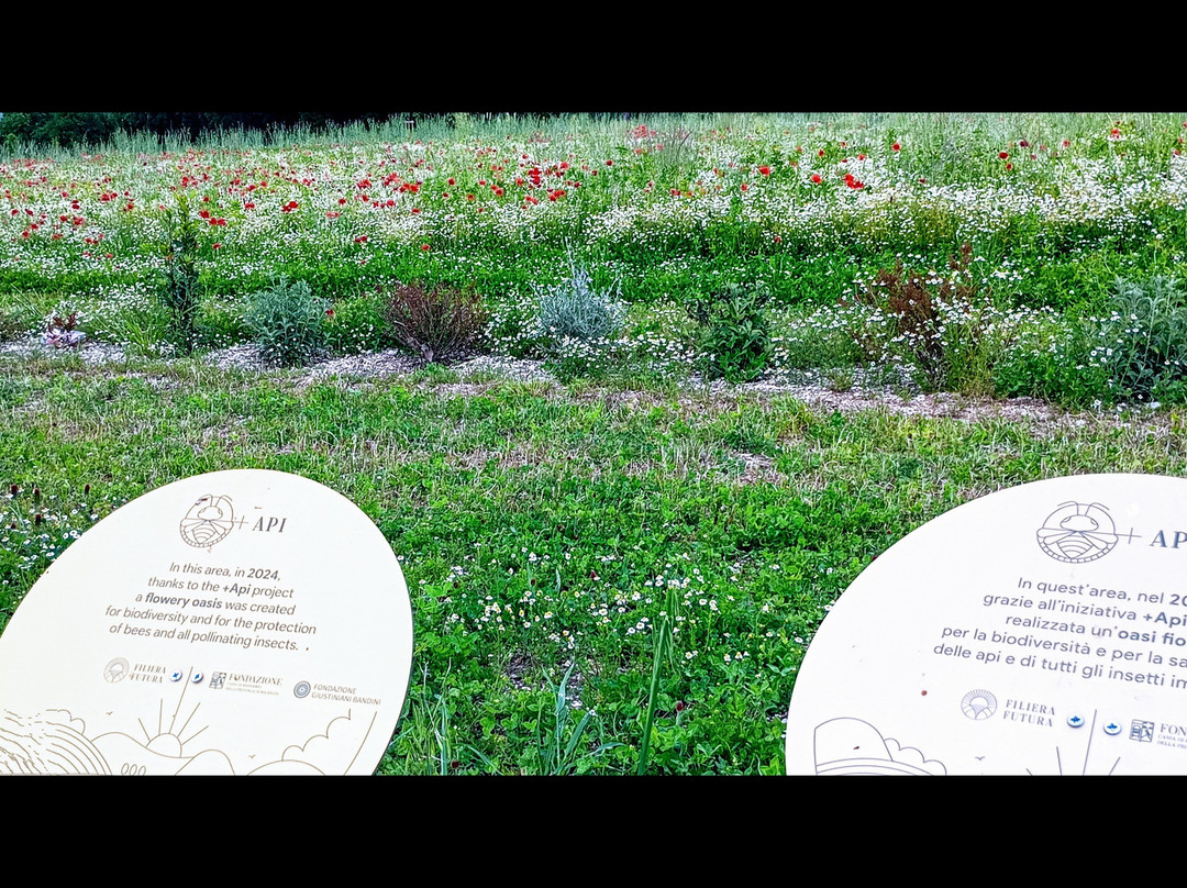 Riserva Naturale Abbadia di Fiastra景点图片