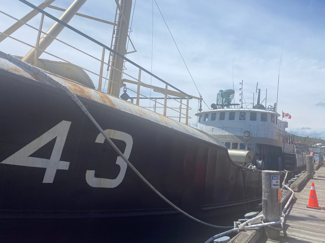 Lunenburg Historic District-卢嫩堡必去景点