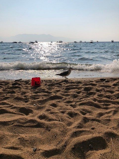 Round Hill Pines Beach and Marina-Zephyr Cove必去景点