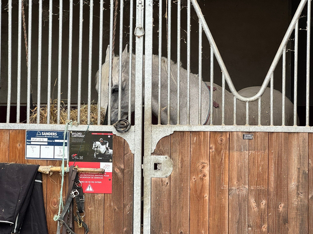 Haras National de Saint-Lo景点图片