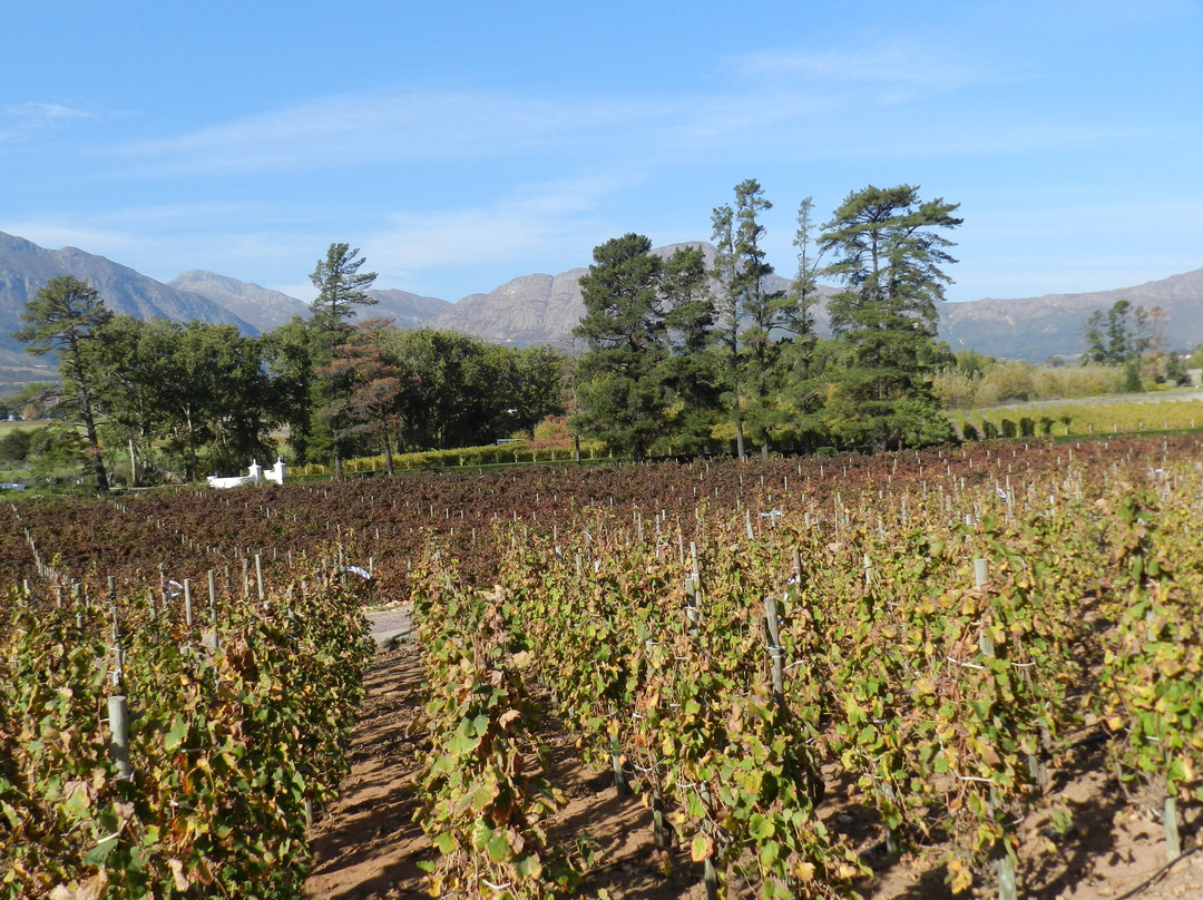 Rickety Bridge Wine Estate-法兰舒克必去景点
