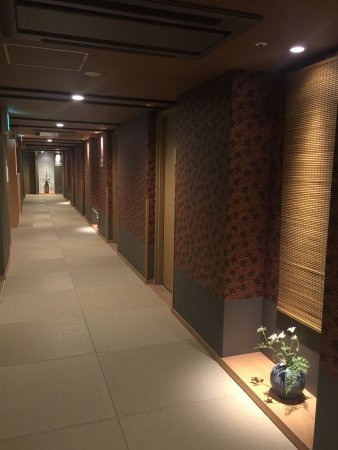 大阪难波宿野乃天然温泉酒店主图