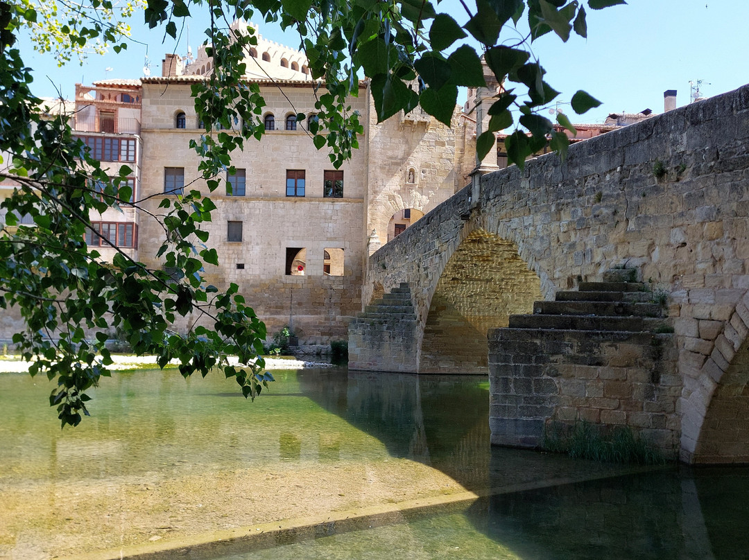 Castillo de Valderrobres景点图片