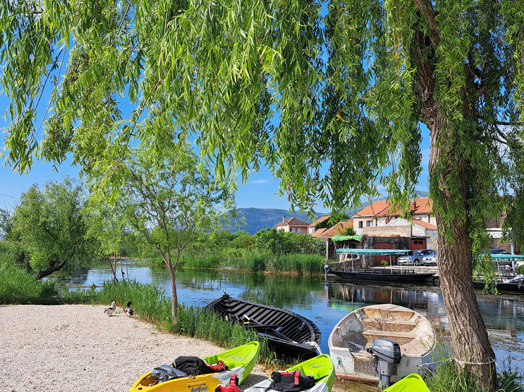 Narona Kayaking - Safari Kayaking Tour on Norin River景点图片