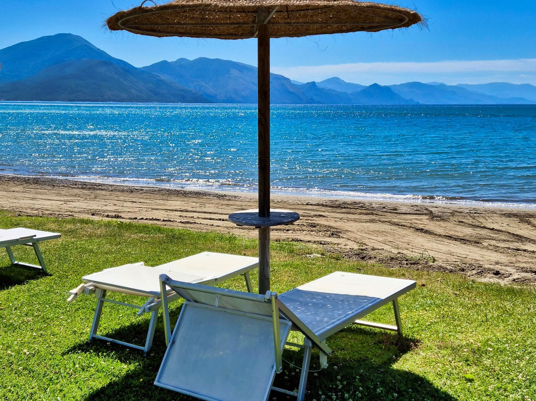 Krio Gelsomare主图