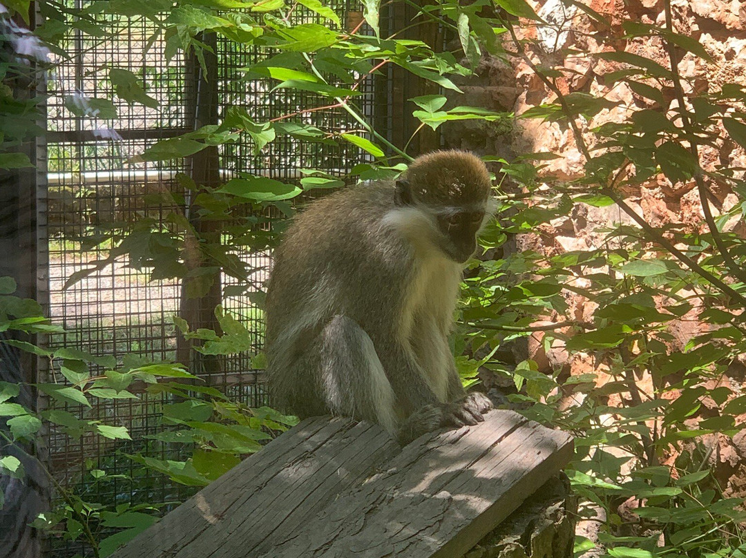 Parco Faunistico Valcorba-Pozzonovo必去景点