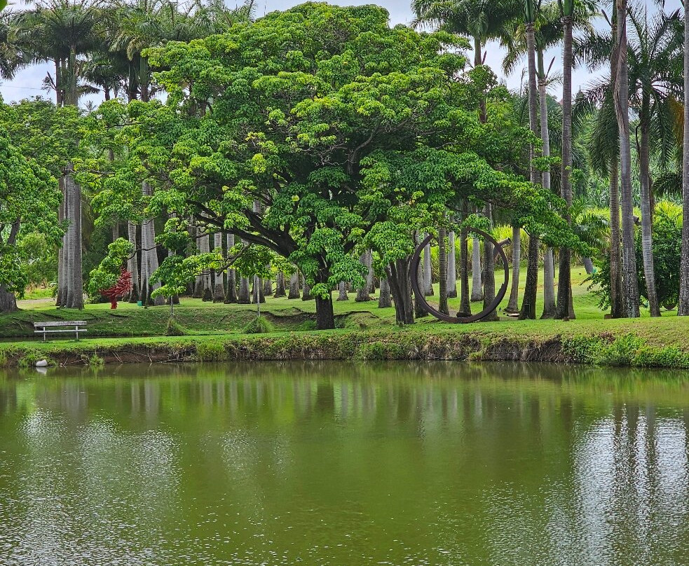 Habitation Clement-Le Francois必去景点
