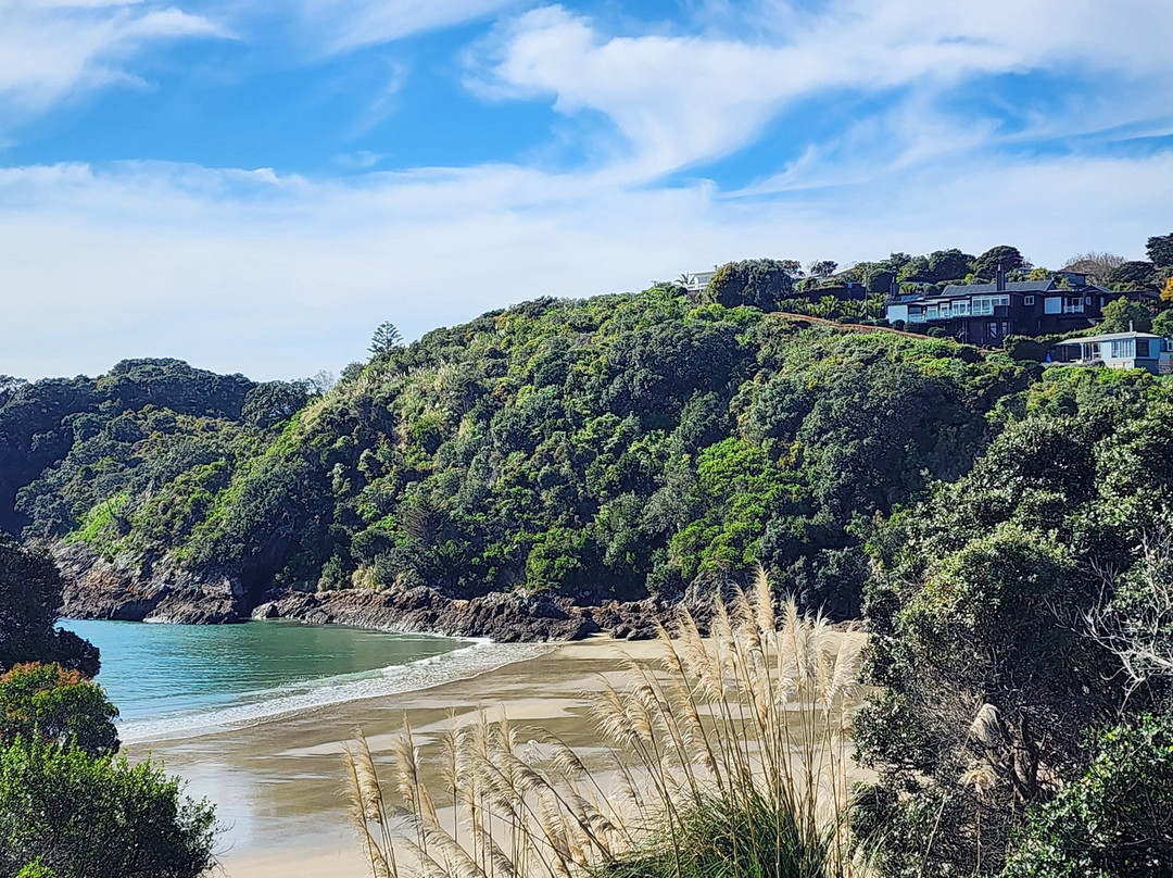 Onetangi Beach景点图片
