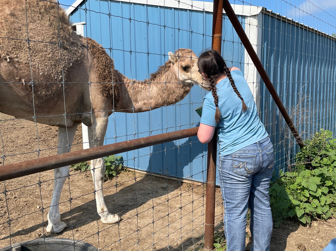 Blue Hills Ranch主图