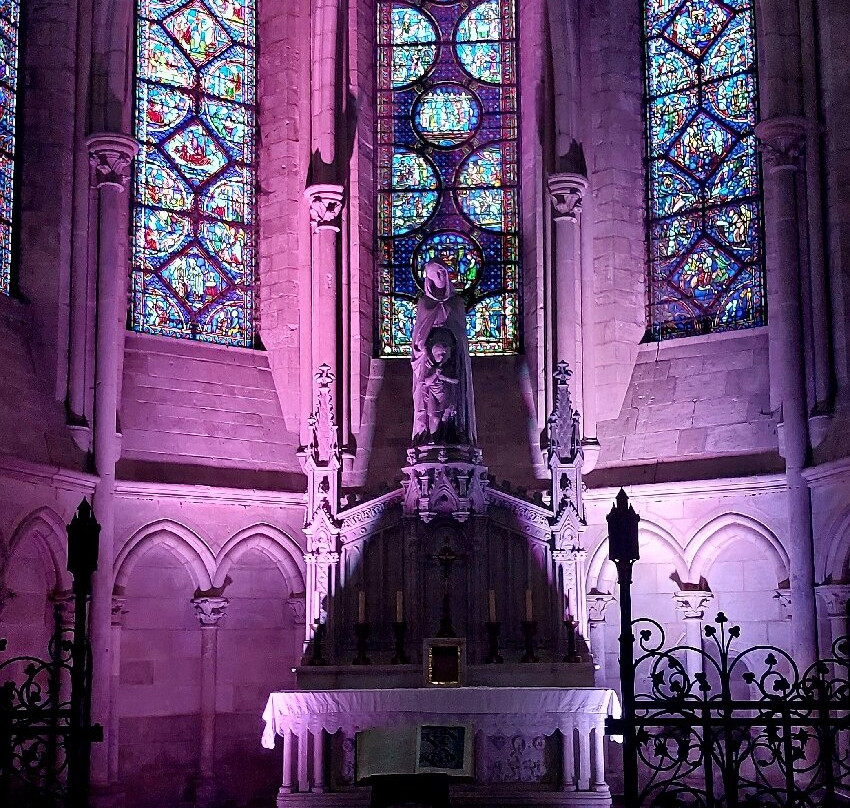 Cathédrale Saint-Pierre-et-Saint-Paul景点图片