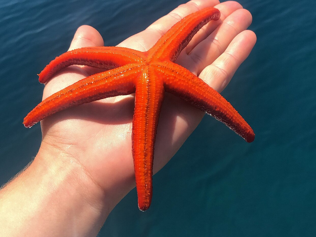 Okeanos-切什梅必去景点