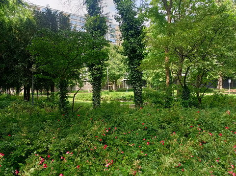 Inside Rotterdam-鹿特丹必去景点