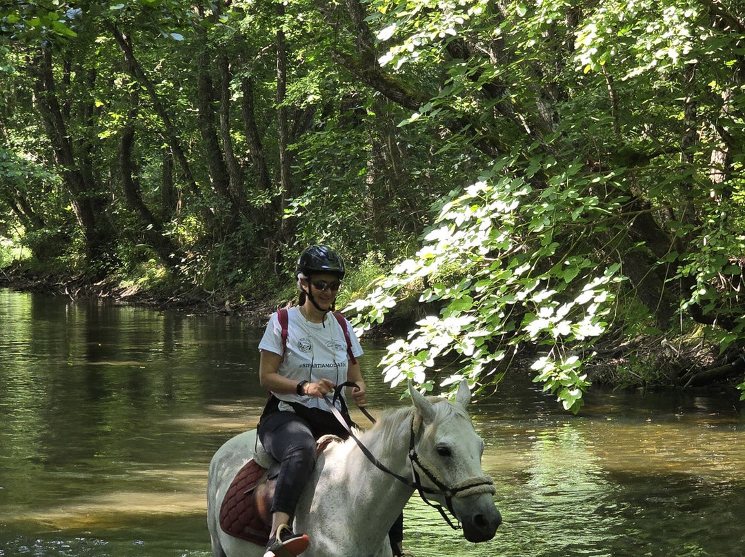 Centro Equestre La Prugnola-Arzachena必去景点