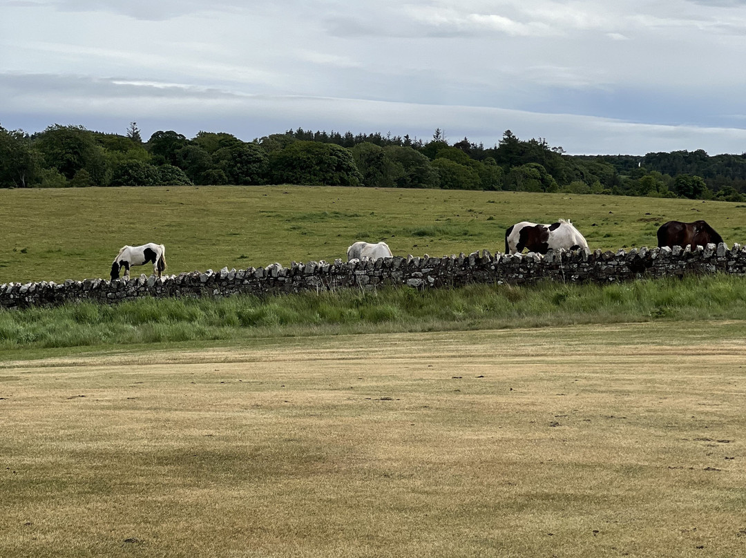 Discover East Lothian-Tranent必去景点