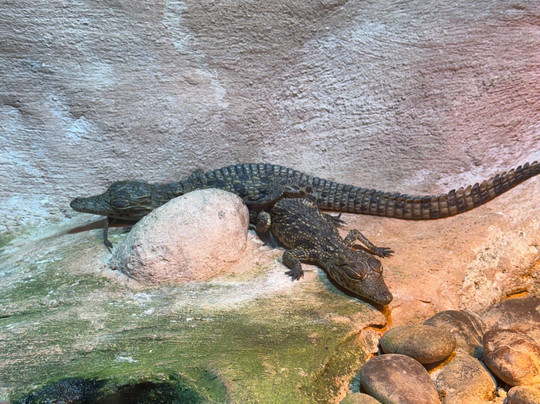 Agadir My Way Tours-阿加迪尔必去景点