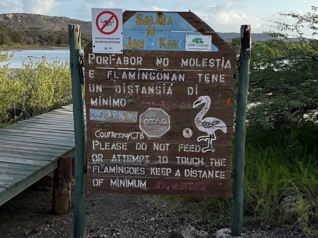 Flamingo Sanctuary Sint Willibrordus-Sint Willibrordus必去景点