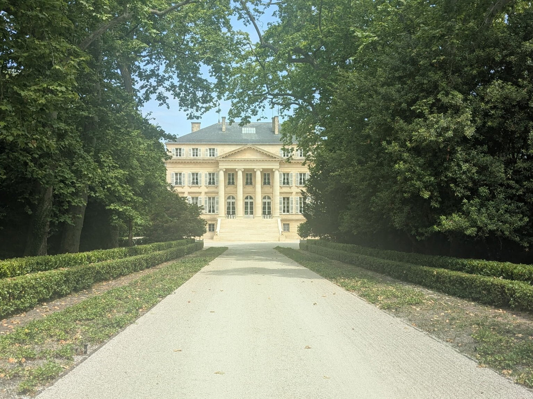 Chateau Coulon Laurensac主图