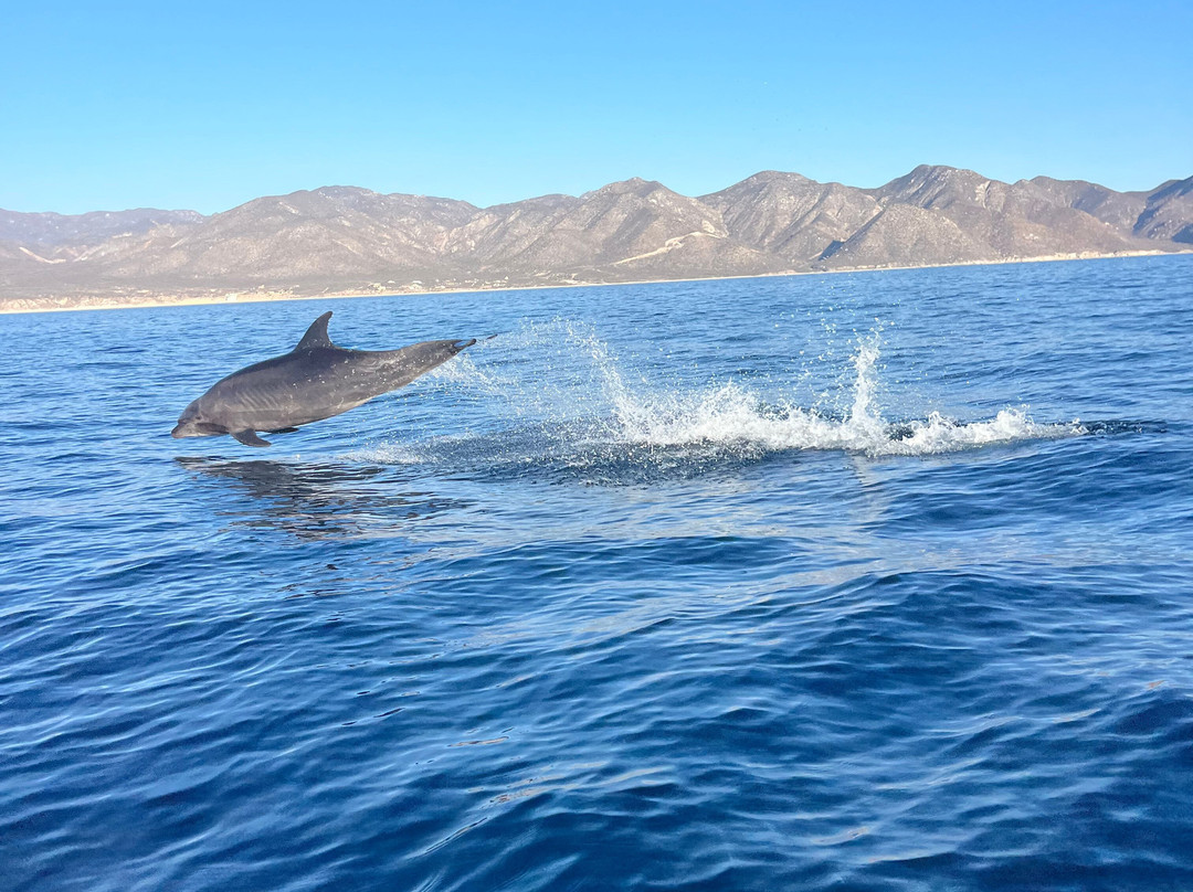 Agua Salada-La Ventana必去景点