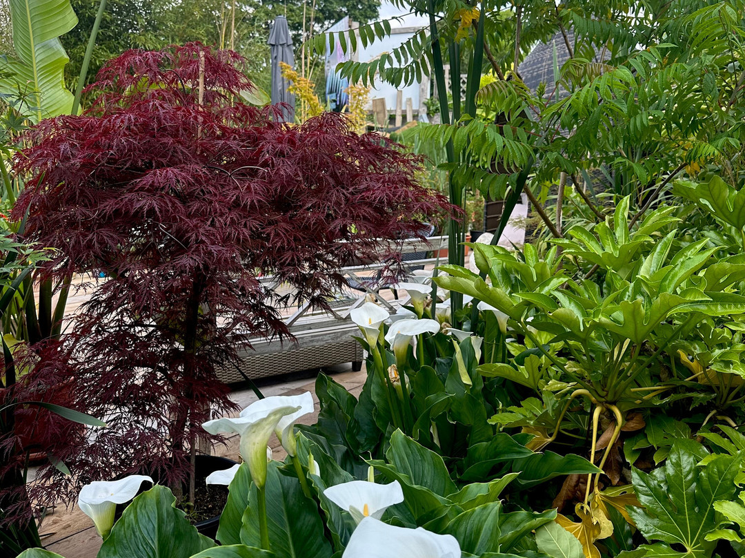 Waterscapes And Gardens景点图片