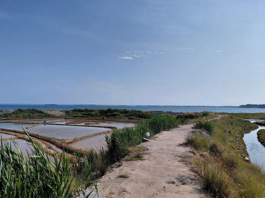 Salines de Truscat-Sarzeau必去景点