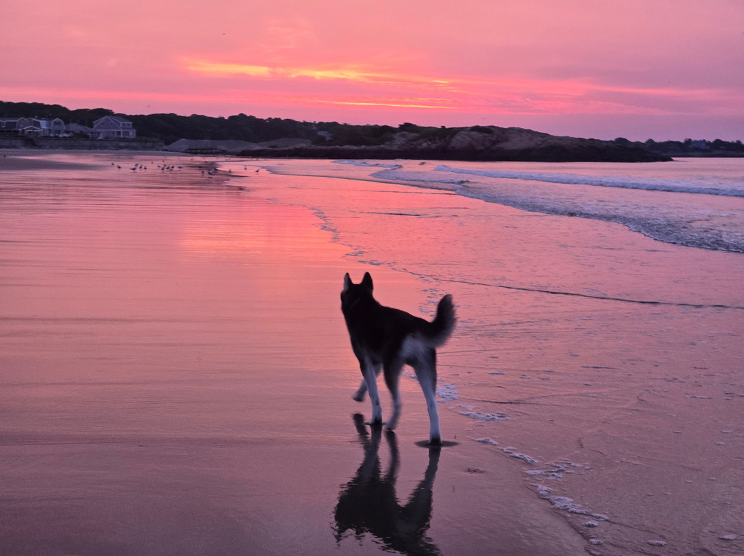 Cape Ann Motor Inn主图