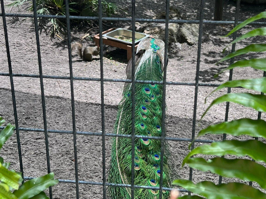 The Wonder Gardens-博尼塔斯普林斯必去景点