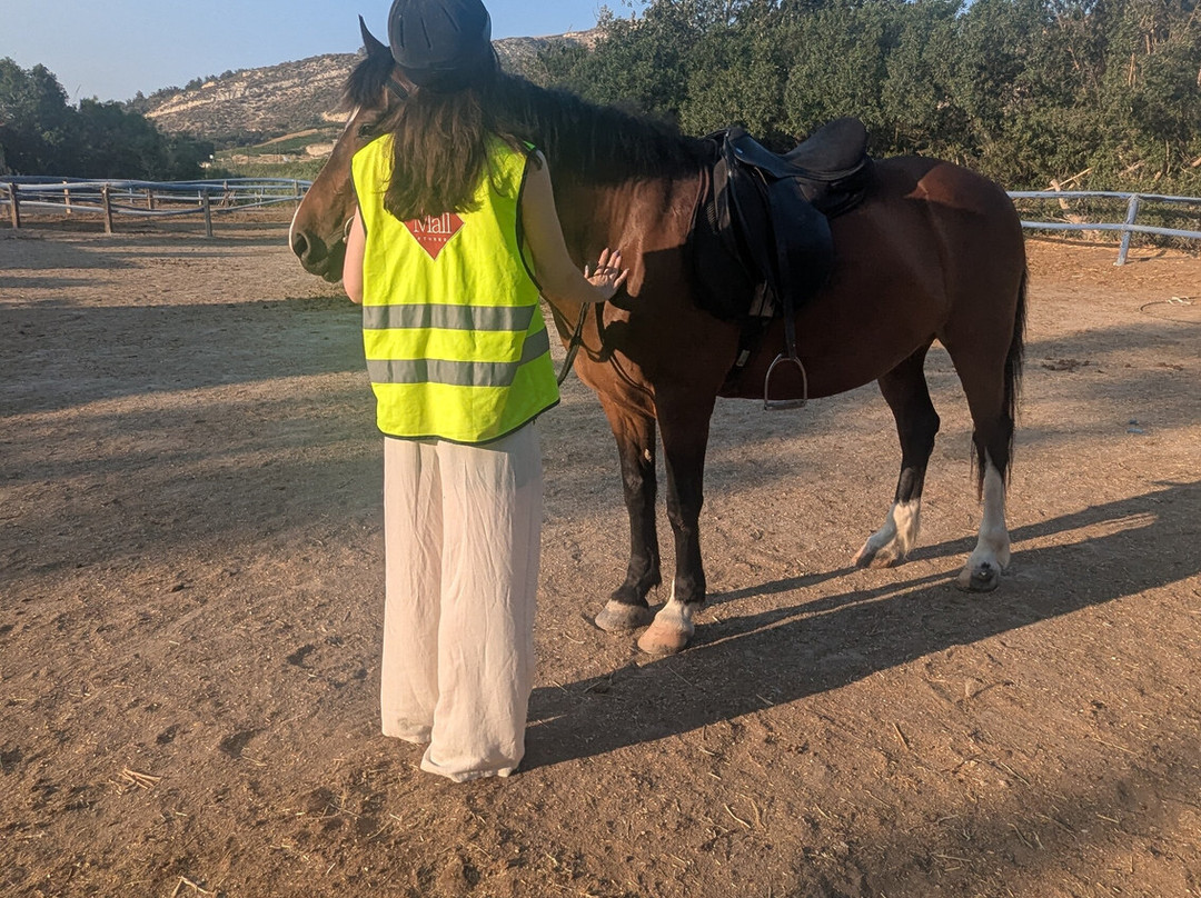 Finikia Horseriding景点图片