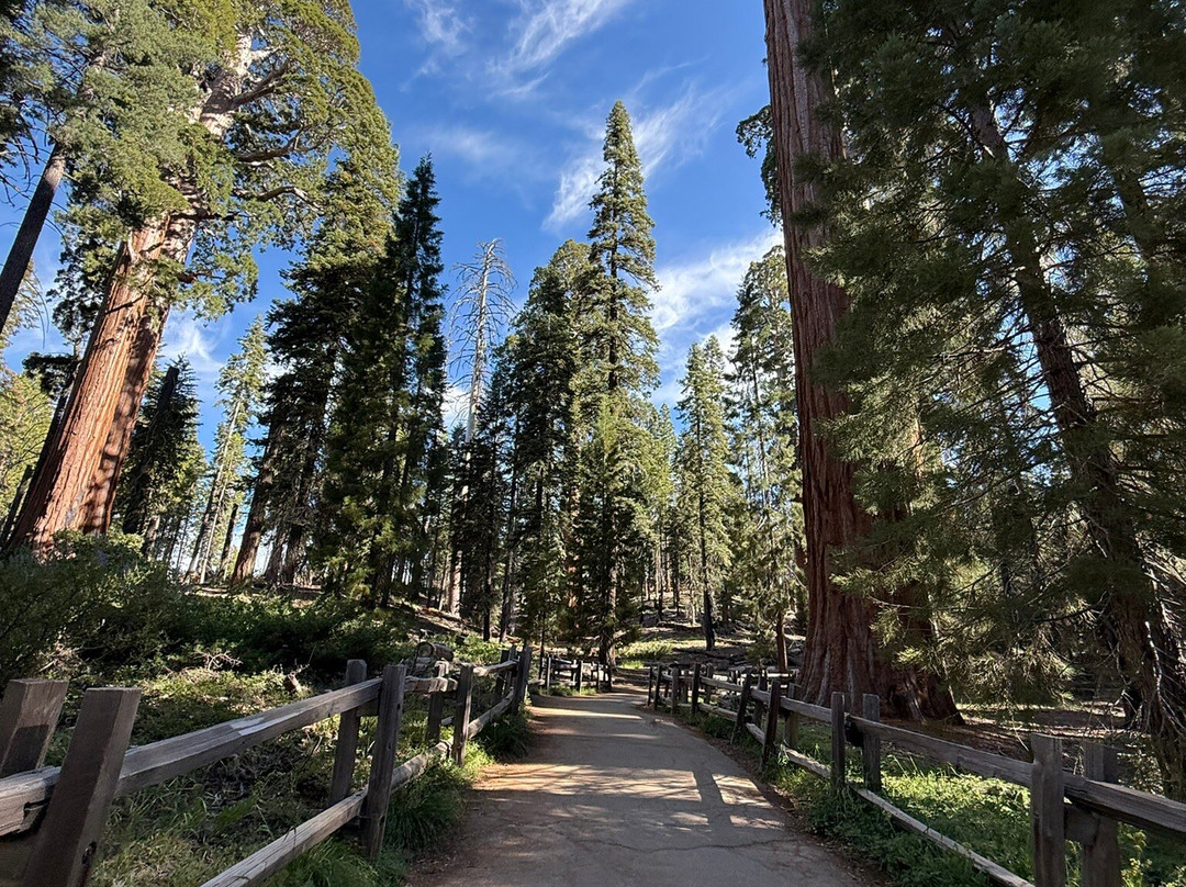 Grant Grove-红杉&国王峡谷国家公园必去景点