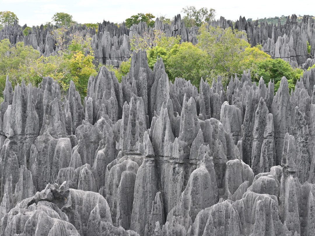 Tsaraventura Madagascar Tour Operator景点图片