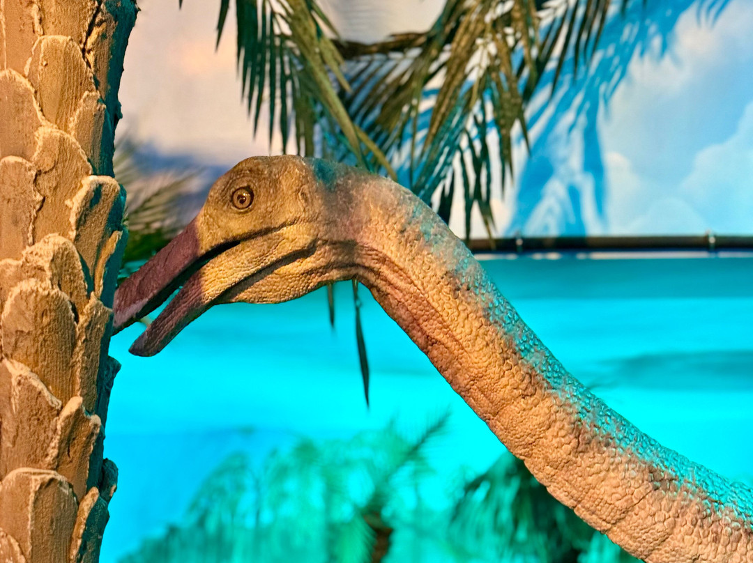 Jurassic Discovery-Seaton必去景点