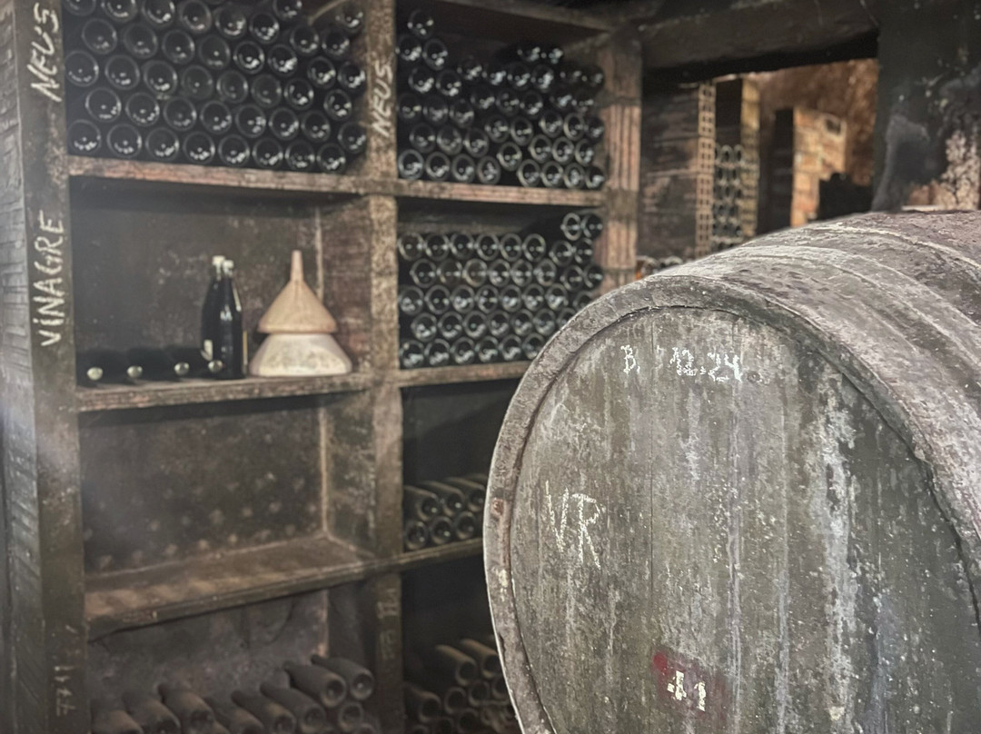 Mas Molla Des de 1338-Calonge必去景点