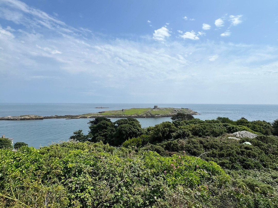 Sorrento Park-达尔基必去景点