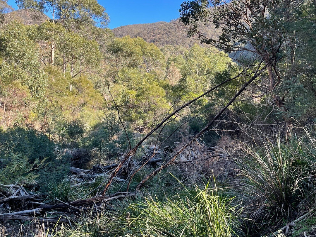 Lerderderg Gorge-Bacchus Marsh必去景点