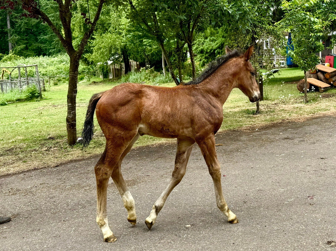 Corbett Farm-波特兰必去景点